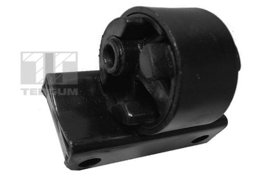 Obrázok Ulożenie motora TEDGUM  00461485