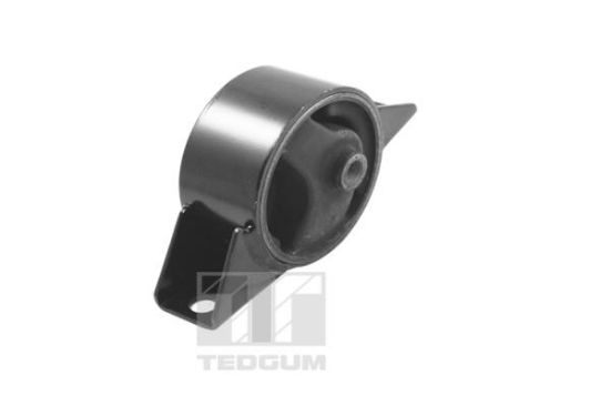 Obrázok Ulożenie motora TEDGUM  00461540