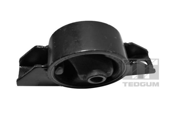 Obrázok Ulożenie motora TEDGUM  00462511