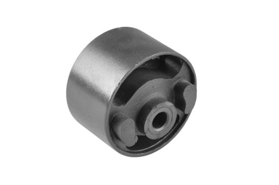 Obrázok Ulożenie motora TEDGUM  00462907