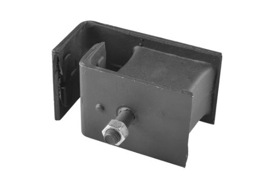 Obrázok Ulożenie motora TEDGUM  00463748
