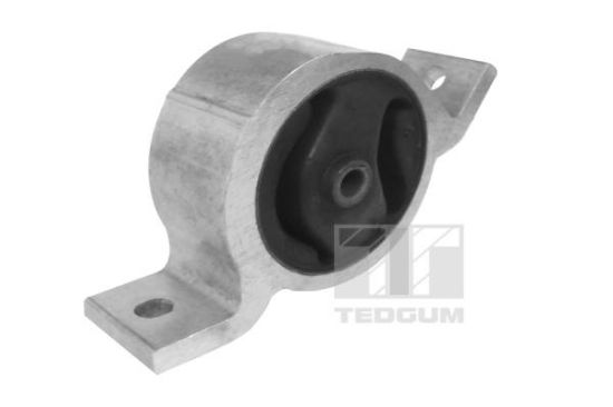 Obrázok Ulożenie motora TEDGUM  00466219