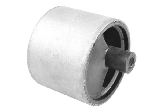 Obrázok Ulożenie motora TEDGUM  00467995