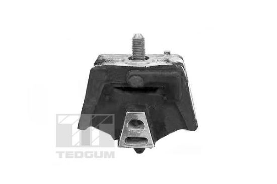 Obrázok Ulożenie nosníka automatickej prevodovky TEDGUM  00504606