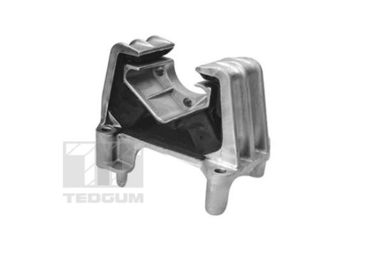 Obrázok Ulożenie motora TEDGUM  00504645