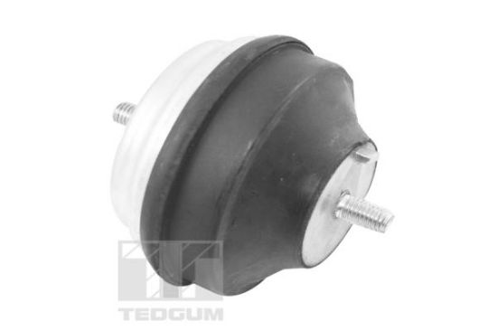 Obrázok Ulożenie motora TEDGUM  00504650
