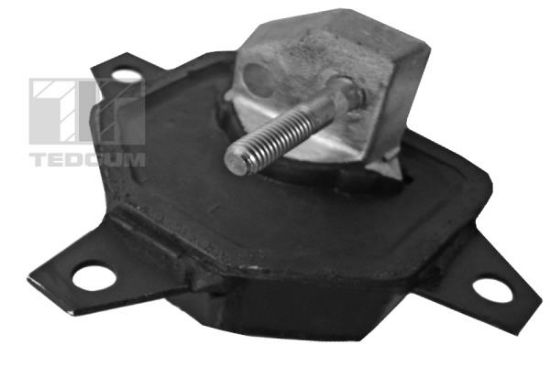 Obrázok Ulożenie motora TEDGUM  00504658