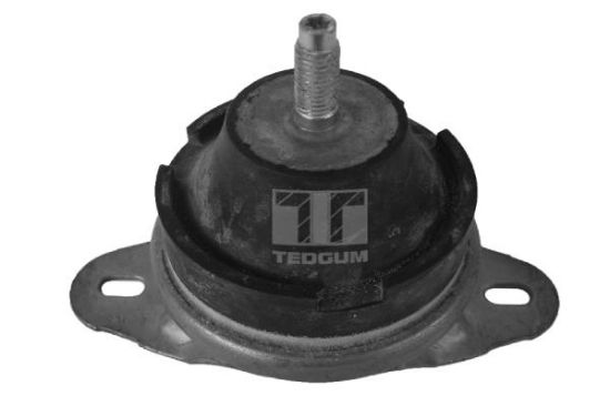 Obrázok Ulożenie motora TEDGUM  00514176