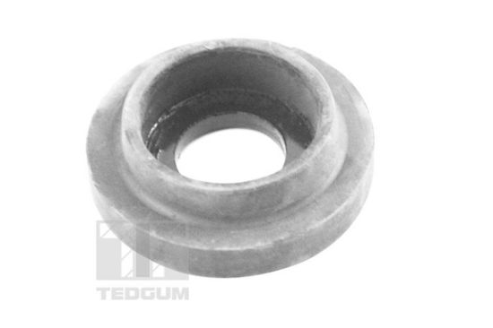 Obrázok Ulożenie motora TEDGUM  00515797