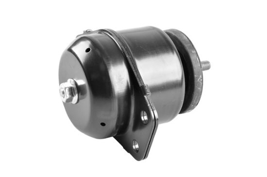 Obrázok Ulożenie motora TEDGUM  00619272