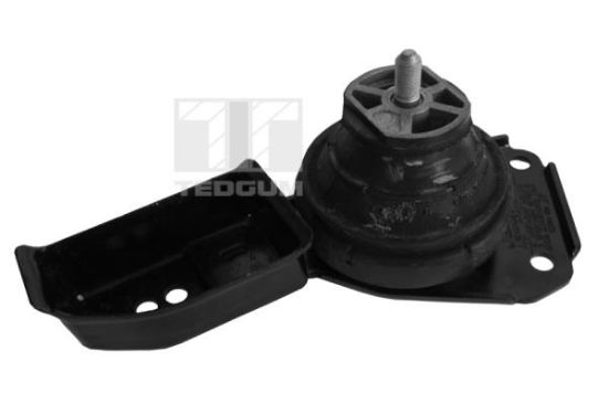 Obrázok Ulożenie motora TEDGUM  00724499