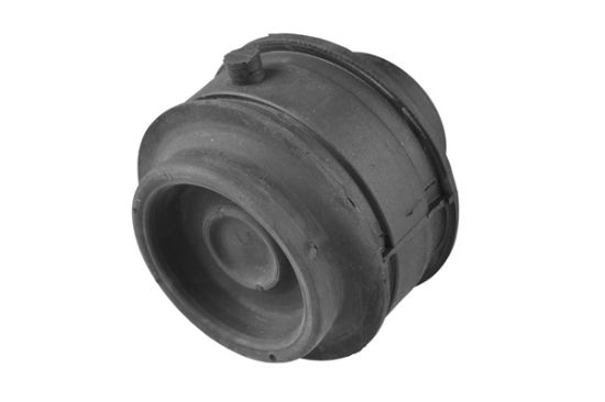 Obrázok Ulożenie motora TEDGUM  00725103