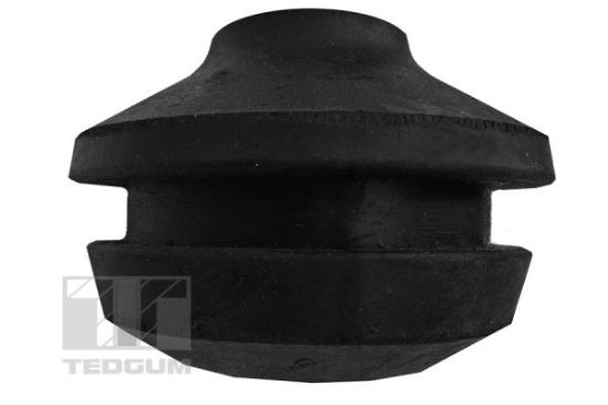 Obrázok Ulożenie motora TEDGUM  00728182