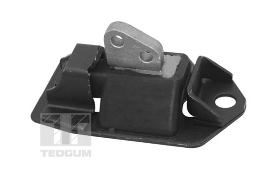 Obrázok Ulożenie motora TEDGUM  00748055