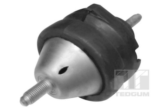 Obrázok Ulożenie motora TEDGUM  01296915