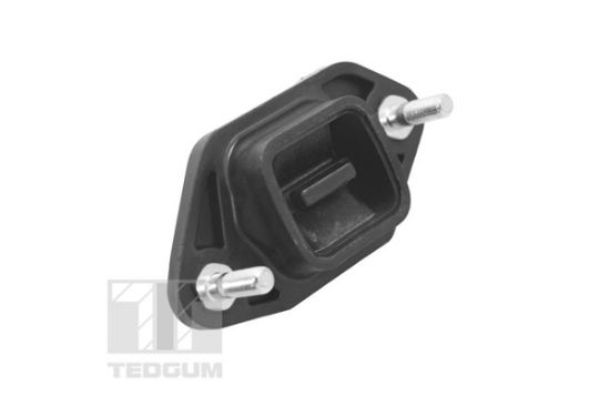 Obrázok Ulożenie motora TEDGUM  TED14845