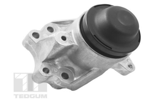 Obrázok Ulożenie motora TEDGUM  TED17586