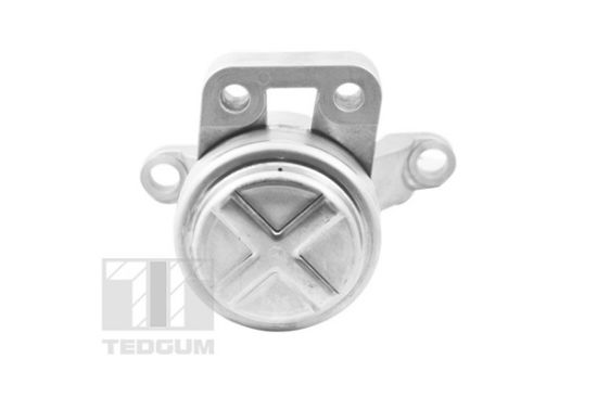 Obrázok Ulożenie motora TEDGUM  TED36070