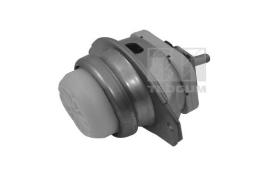 Obrázok Ulożenie motora TEDGUM  TED44341