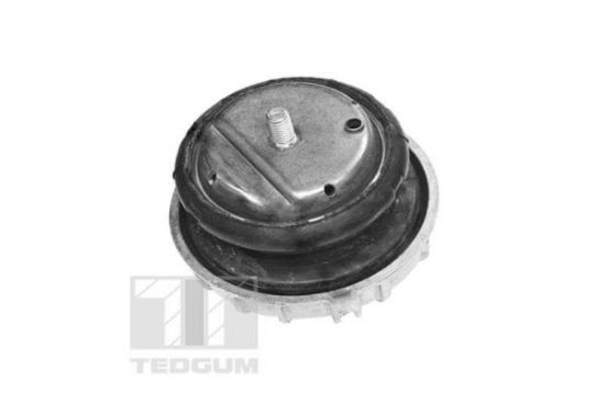 Obrázok Ulożenie motora TEDGUM  TED57477