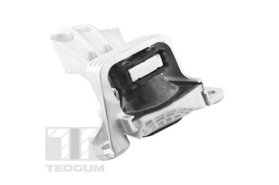 Obrázok Ulożenie motora TEDGUM  TED81471