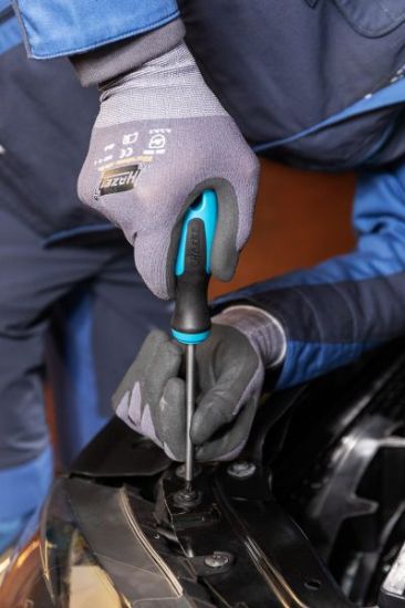 Obrázok Skrutkovac HAZET Screwdriver 810T25