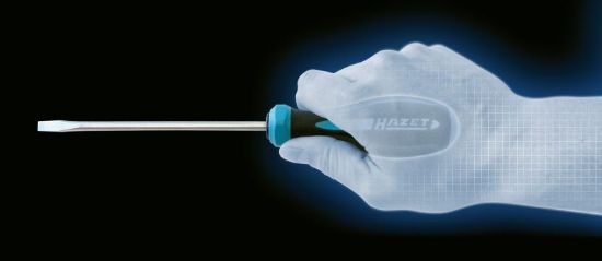 Obrázok Skrutkovac HAZET HEXAnamic® screwdriver 80240