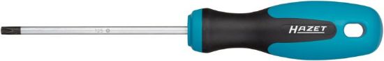 Obrázok Skrutkovac HAZET Screwdriver 810T25