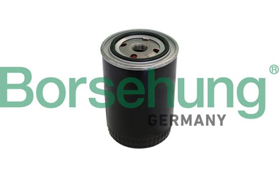 Obrázok Olejový filter Borsehung  B10431
