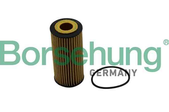 Obrázok Olejový filter Borsehung  B10511