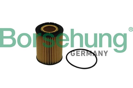 Obrázok Olejový filter Borsehung  B10516