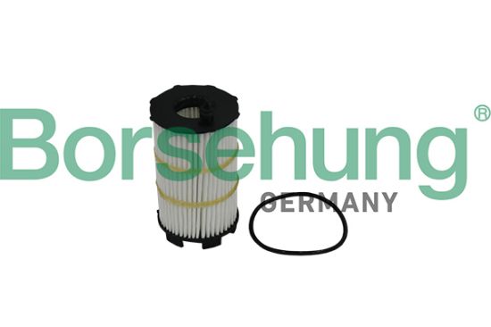 Obrázok Olejový filter Borsehung  B10517