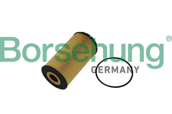 Obrázok Olejový filter Borsehung  B10518