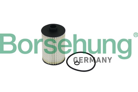 Obrázok Olejový filter Borsehung  B10519