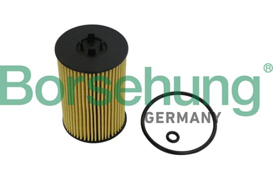 Obrázok Olejový filter Borsehung  B10532