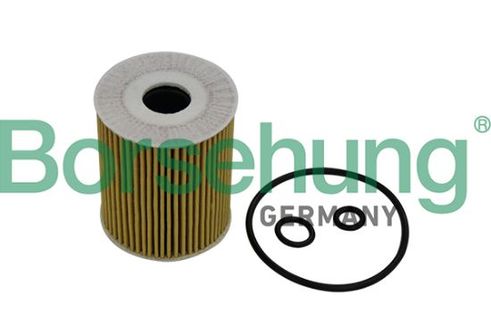 Obrázok Olejový filter Borsehung  B10533