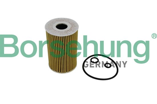 Obrázok Olejový filter Borsehung  B10535