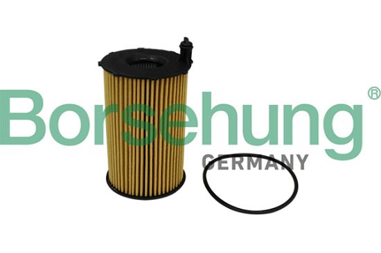 Obrázok Olejový filter Borsehung  B10540