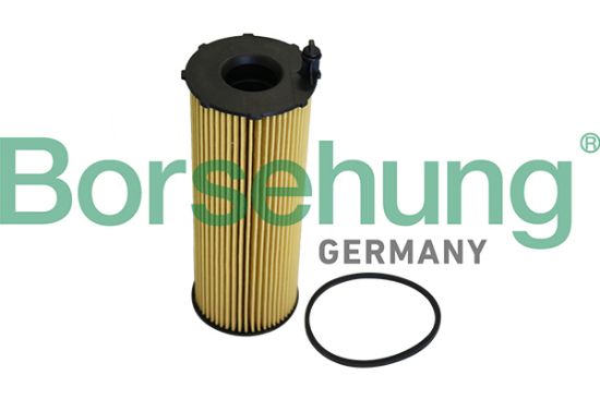 Obrázok Olejový filter Borsehung  B10547