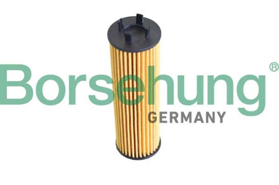 Obrázok Olejový filter Borsehung  B12286