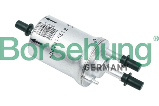 Obrázok Palivový filter Borsehung  B12791