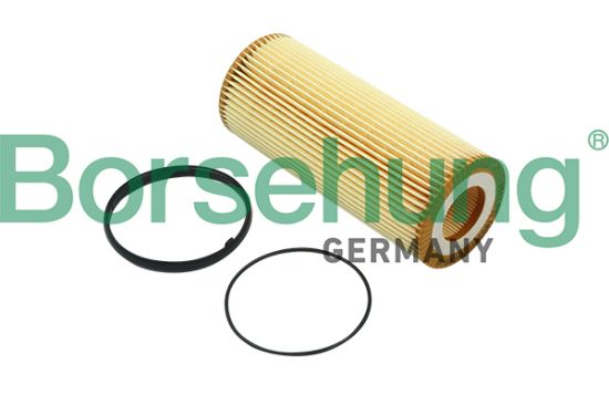 Obrázok Olejový filter Borsehung  B12820