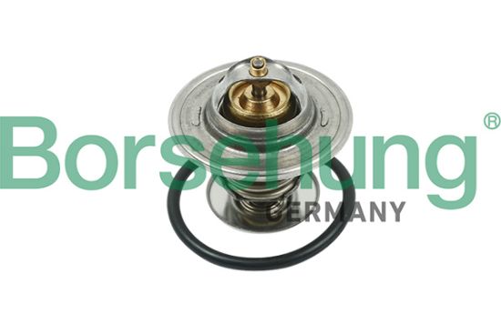 Obrázok Termostat chladenia Borsehung  B13141
