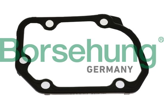 Obrázok Tesnenie skrine mechanickej prevodovky Borsehung  B17831
