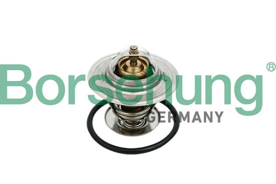 Obrázok Termostat chladenia Borsehung  B18259