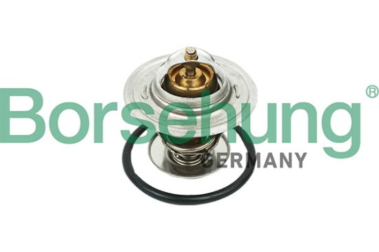 Obrázok Termostat chladenia Borsehung  B18268