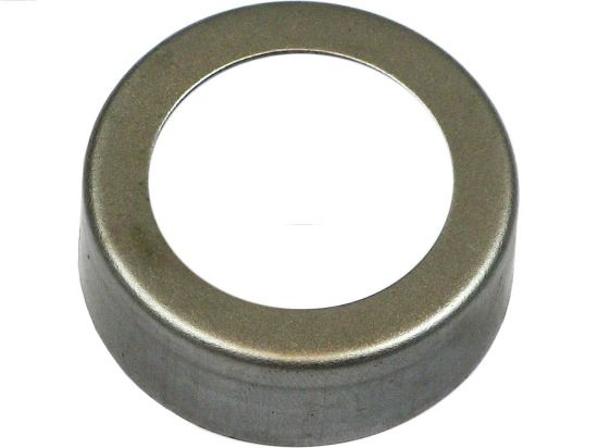 Obrázok Opravná sada pre żtartér AS-PL Brand new |  | Starter caps for drives SDK1001