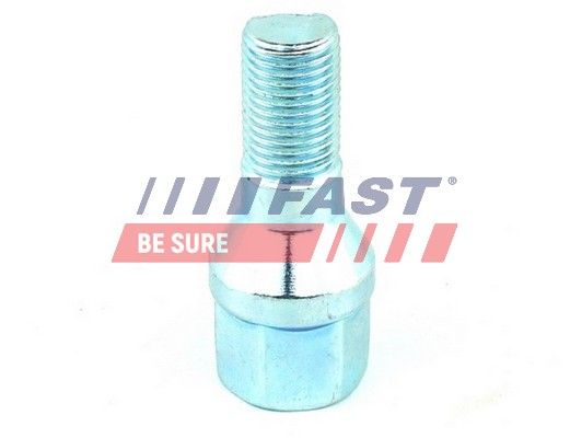 Obrázok Čap kolesa FAST  FT21523