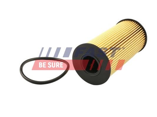 Obrázok Olejový filter FAST  FT38031