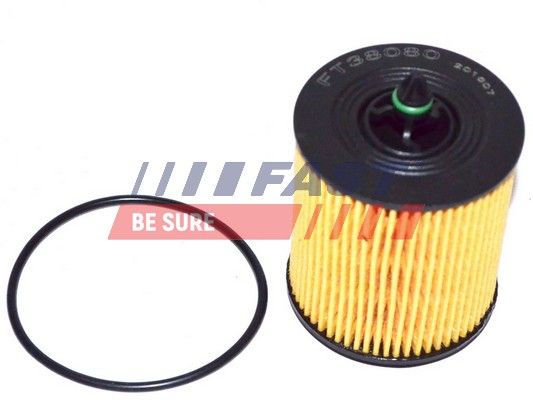Obrázok Olejový filter FAST  FT38080